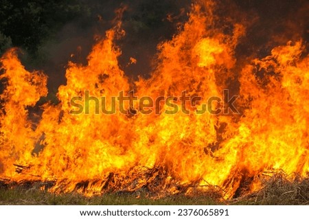 A photo depicting the practice of stubble burning, a controversial agricultural method that has environmental and health implications