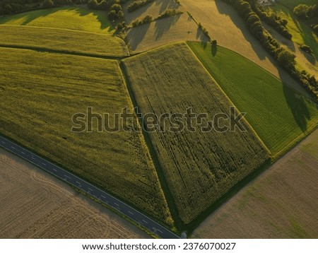 Aerial view of country fields and a road on a sunny evening in summer
