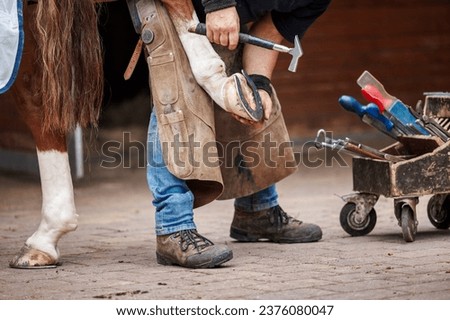 Farrier nailing horseshoe to horse hoof with a hammer. Blacksmith working in stable. Traditional animal care Royalty-Free Stock Photo #2376080047