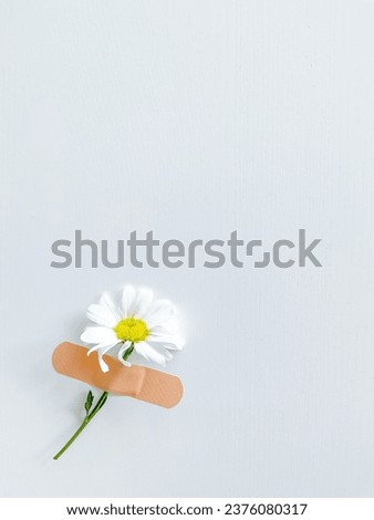 Beautiful chamomile flower with band-aid on white