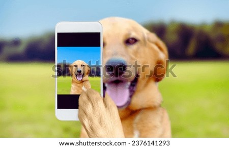 cute dog taking a selfie and laughing about that