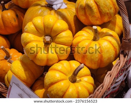 Orange pumpkin in the basket