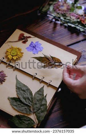 Pressed flower in journal book