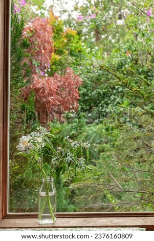 colorful flower in glass vase on old wooden windowsill with autumn garden behind