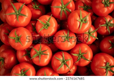 Beautiful red tomatoes. Top view. Tomatoes pattern background Royalty-Free Stock Photo #2376167681