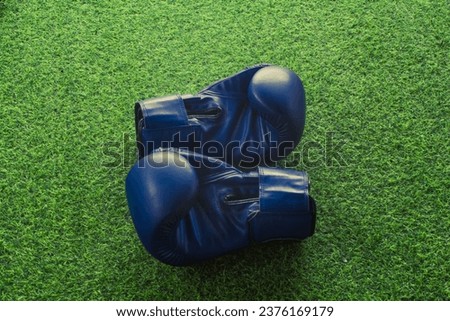 blue boxing gloves on green background