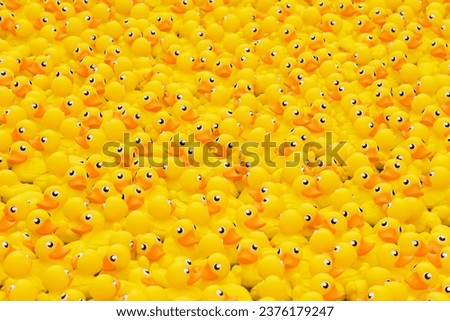 yellow toy duck floating in the pool