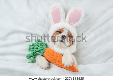 Cavalier King Charles Spaniel puppy wearing easter rabbits ears sleeps with knitted carrot on a bed under warm white blanket at home