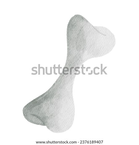 Dog bone in watercolor isolated in white background.
Pet adoption and fostering elements illustrated in watercolor isolated in white background.

