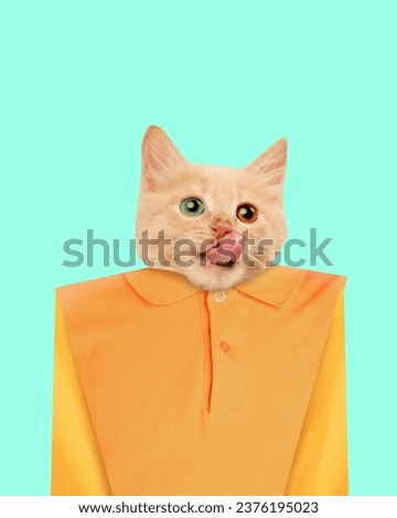 Cat with different eyes color wearing yellow shirt over mint background. Retro style. Contemporary art collage. Concept of surrealism, animal theme, creativity, imagination, fashion. Pop art Royalty-Free Stock Photo #2376195023