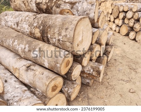 Photography on the theme of a large wall of piles of tree trunks in the gaps, photo consisting of old tree trunks on a natural background, natural tree trunks from round textured annual rings