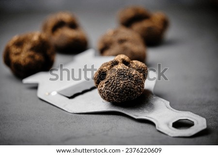 Stock photo of fresh italian black truffle in a truffle mill.