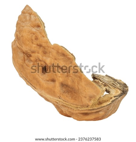 A piece of walnut shell. Depth of field. Isolated. On an empty background.