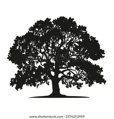 tree silhouette. big tree silhouette. oak tree silhouette. black oak tree isolated on white background. cutout trees. hand drawn design. vector illustration.