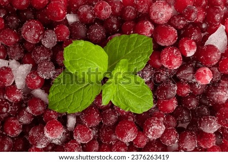 Frozen Lingonberry Texture Background, Iced Cowberry Pattern, Snow Cranberry Mockup, Red Viburnum Berries Banner, Frozen Lingonberry Background, Copy Space for Text