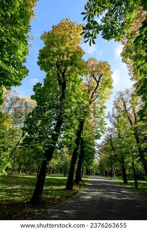 Landscape with the alley surrounded by green and yellow old large chestnut trees and grass in a sunny autumn day in Parcul Carol (Carol Park) in Bucharest, Romania