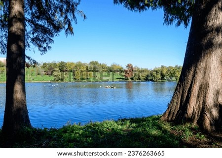 Landscape with many large green and yellow old trees near the lake in a sunny autumn day in Tineretului Park in Bucharest, Romania Royalty-Free Stock Photo #2376263665