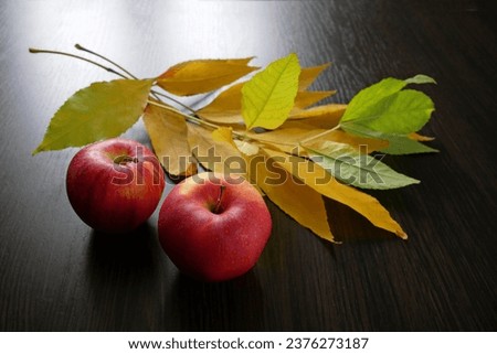 Autumn leaves and autumn fruits on black wooden background with copy space, autumn harvest concept, closeup