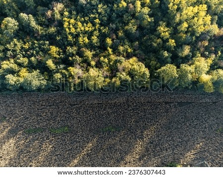 Drone view of a forest in autumn colours with a corn field nearby.