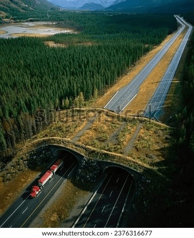 The Trans-Canada Highway wildlife crossings in Banff National Park Royalty-Free Stock Photo #2376316677