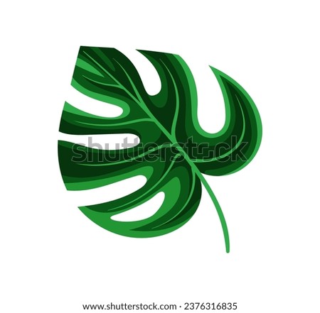 Exotic leaf concept. Tropical branch and plant part. Jungle and rainforest. Greenery and wild life. Social media sticker. Cartoon flat vector illustration isolated on white background