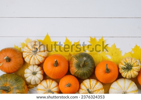 Many colorful pumpkins and maple leaves frame on white wooden background, autumn harvest, Halloween or Thanksgiving concept