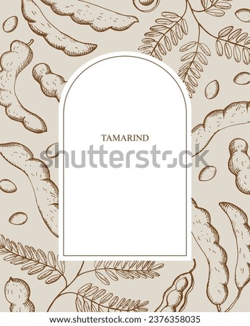 Tamarind border background for text hand drawn tropical plant vector illustration with engraving. Backdrop of exotic tamarinds peas with pod, beans, leaf. Food, flavoring, ayurvedic plants, wood Royalty-Free Stock Photo #2376358035