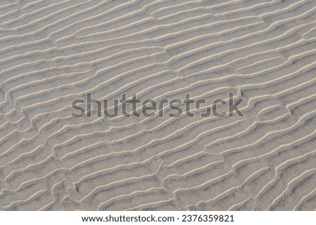 Wet brown sand on the beach in summer, Beautiful structure texture on the sand with lines or ripples, Nature pattern with free copy space, Can be used as background, Display or montage your products.