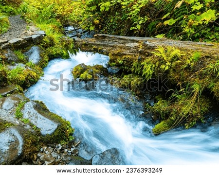 Cascades In The Forest on Wahkeena Creek, Columbia River Gorge, Oregon, USA Royalty-Free Stock Photo #2376393249