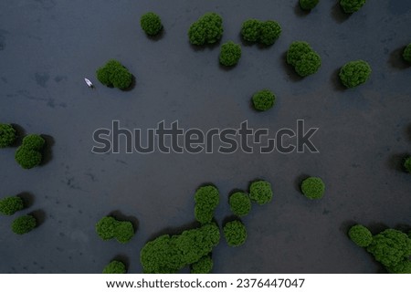 Aerial drone view of Mangrove trees and kayaking boat, Shot from Kavvayi Kannur Royalty-Free Stock Photo #2376447047