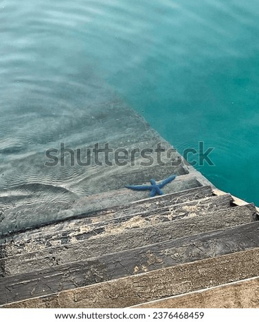 BLUE STARFISH GREETS FROM SEA STAIRS