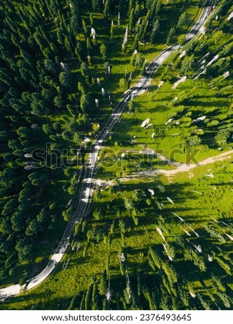 Aerial view of Pine forest in dangerpora, Jammu Kashmir. Green nature is always soothing to eyes. July 31, 2023 Royalty-Free Stock Photo #2376493645