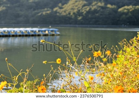 These are scenery with the calm surface of Sanjeong Lake and autumn leaves reflected in the afternoon sunlight.