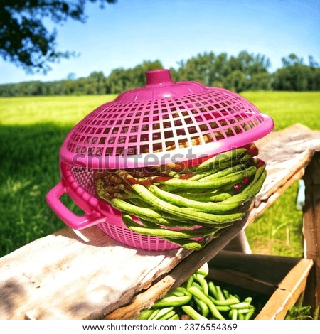 This is a realistic photo of a pink plastic colander with a cover on a wooden bench in the park with green long beans inside.