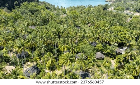 A beach with a beautiful coast, palm trees and the Andaman Sea, turquoise water, white sand and green palm trees, little foamy waves, Phi Phi Island National Park, Krabi, Thailand.