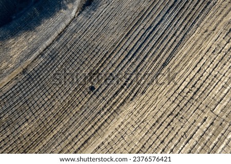 An aerial drone shot of a crawled tractor driver circulating through vine rows in winter