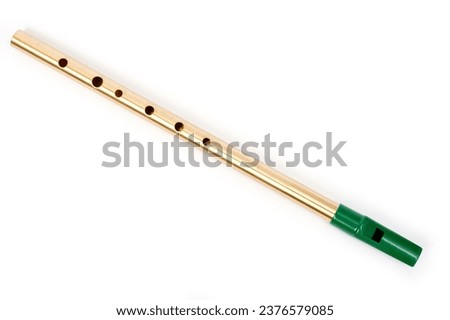 The Irish whistle is a longitudinal flute with a whistle device and six playing holes. Royalty-Free Stock Photo #2376579085