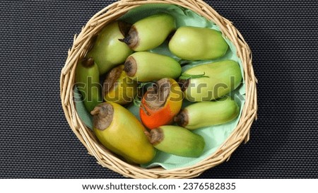 Still green, unripe, young tomato fruits affected by blossom end rot. This physiological disorder in tomato, caused by calcium deficiency, looks like watering and rotting spot forming under the fruit. Royalty-Free Stock Photo #2376582835