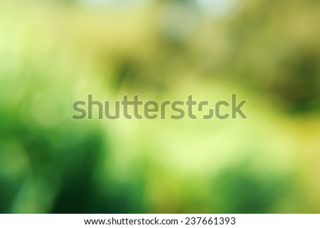 Beautiful abstract background cheerful spring, a series of images
