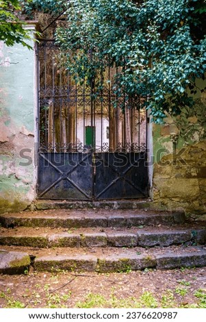 Entrance in an old mansion with stairs full of leaves and a rusty fence.