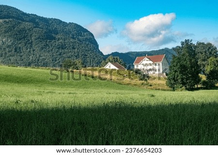 White Norwegian houses among green vegetation in summer.
