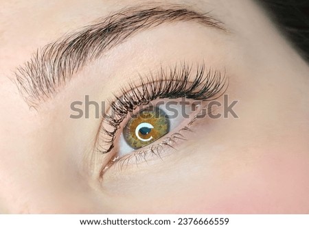 Close up of eye with eyelash extensions ,beauty salon treatment ,2d volume, 3d volume, classical lashes,Russian volume,megavolume, new set. Royalty-Free Stock Photo #2376666559