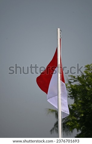 Indonesian red and white flag