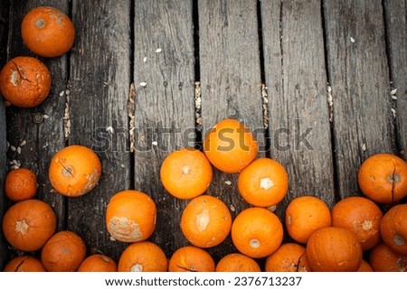 Pumpkins on wooden background with copy space. Top view.