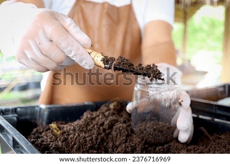 Earthworms on shovel in gardener hand, earthworm in dirt for organic fertilizer farming, 

raising worm composting from cow dung or waste recycling, ecofriendly agricultural field and gardening.