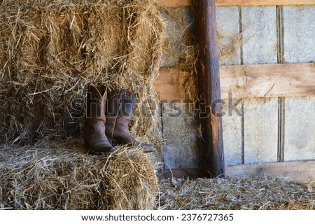A pair of cowboy boots left behind in the barn, after a hard day of work leaves a pretty picture. I'm sure their feet are hurting after taking take of the animals. A soak your feet, tried farmer.