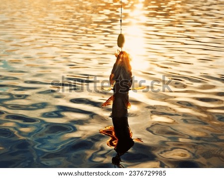 Fishing at sunset. Catching predatory fish on spinning. Sunset colors on the water surface, sunny path from the low sun. Perch caught on yellow spoonbait Royalty-Free Stock Photo #2376729985