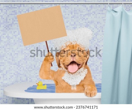 Happy Mastiff puppy with eye closed covered in soap bubbles takes the bath and in bathroom at home and shows empty placard