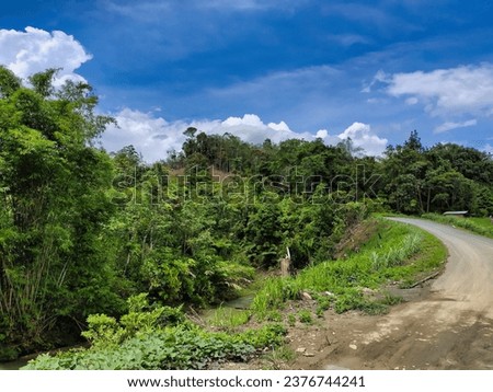 Dense tropical forest trees provide a stunning view at the starting point of the Trans Kalimantan section of the Batulicin route, Tanah Bumbu to Lumpangi, Hulu Sungai Selatan, South KalimantanBorneo.