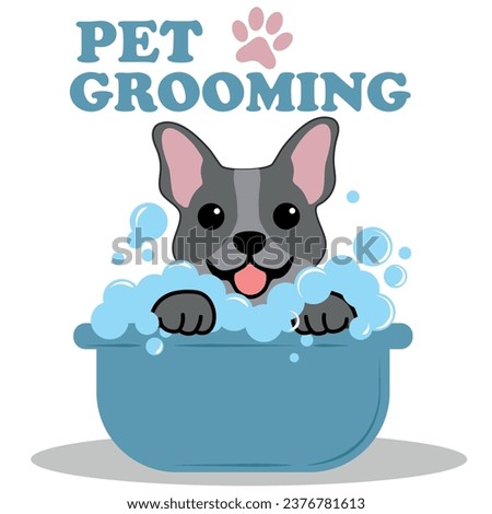 Pet Grooming for Dogs and Cats. For a Beauty Salon for Poster or Banner. Vector illustration